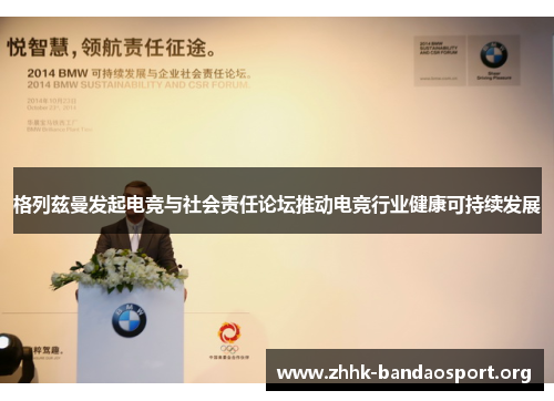 格列兹曼发起电竞与社会责任论坛推动电竞行业健康可持续发展 格列兹曼发起电竞与社会责任论坛推动电竞行业健康可持续发展