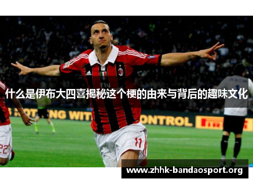 什么是伊布大四喜揭秘这个梗的由来与背后的趣味文化 什么是伊布大四喜揭秘这个梗的由来与背后的趣味文化