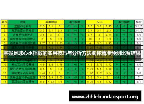 掌握足球心水指数的实用技巧与分析方法助你精准预测比赛结果 掌握足球心水指数的实用技巧与分析方法助你精准预测比赛结果
