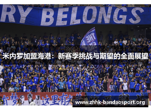 米内罗加盟海港:新赛季挑战与期望的全面展望 米内罗加盟海港:新赛季挑战与期望的全面展望